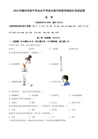 2019年广西柳州市中考化学试题（空白卷）.doc