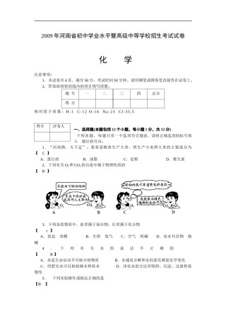 2009年河南省中考化学试卷及答案.docx