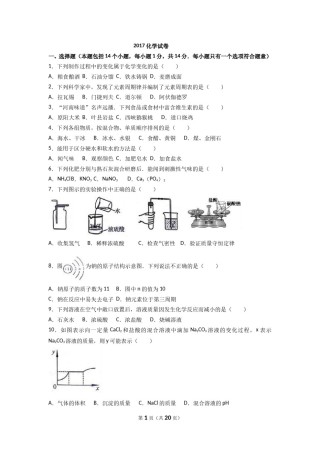 2017年河南省中考化学试卷及答案.doc