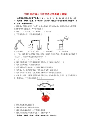 2016浙江省台州市中考化学真题及答案.doc