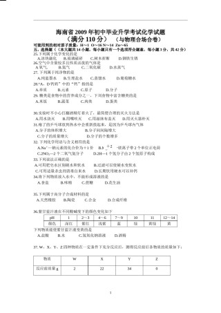2009年海南中考化学试题及答案.doc