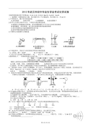 2012年武汉市中考化学试卷及答案.doc