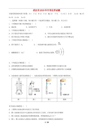 2019年武汉市中考化学试卷及答案.doc