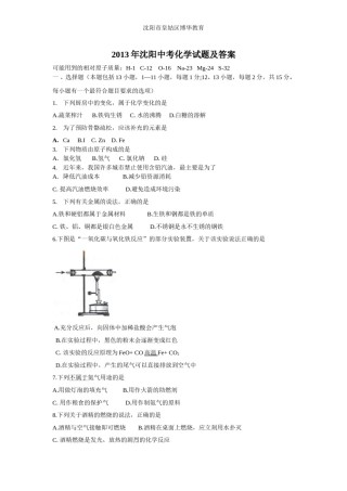 2013年辽宁省沈阳市中考化学试题及答案.doc