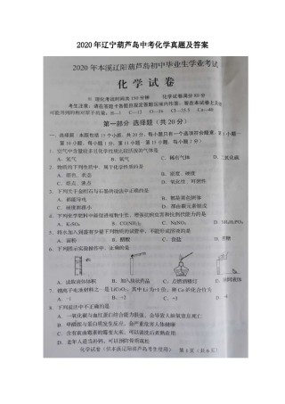 辽宁省葫芦岛市2020年中考化学真题及答案.doc