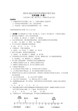 2013年重庆市中考化学B卷试卷(含答案).doc