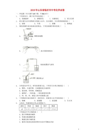 山东省临沂市2019年中考化学真题试题（含解析）.docx