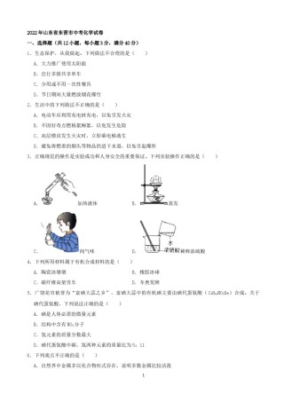 2022年山东省东营市中考化学真题及答案.docx