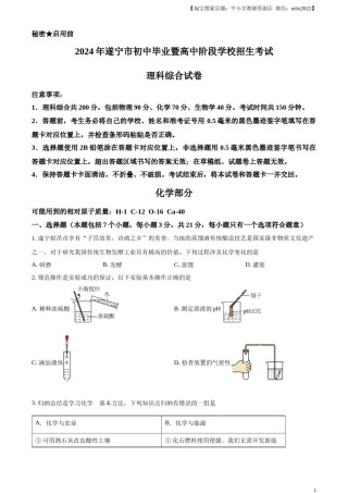 精品解析：2024年四川省遂宁市中考化学真题（原卷版）.docx