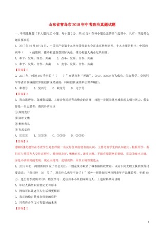 山东省青岛市2018年中考政治真题试题（含解析）.doc