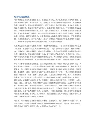 可行性报告格式