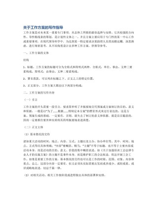 关于工作方案的写作指导