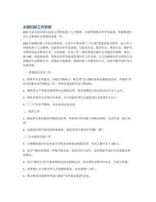 乡镇妇联工作思路
