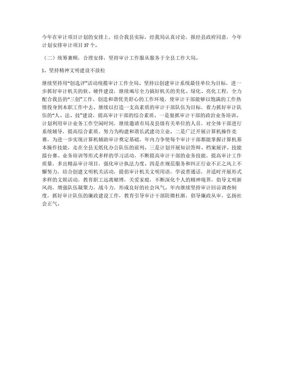 审计工作要点_第2页