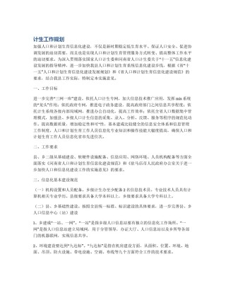 计生工作规划