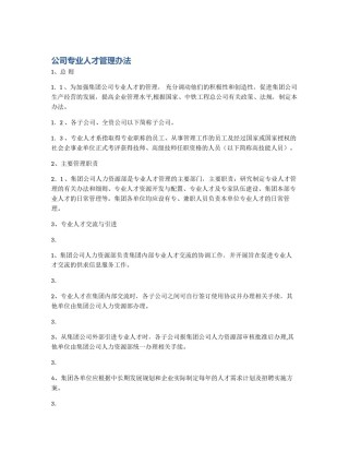 公司专业人才管理办法