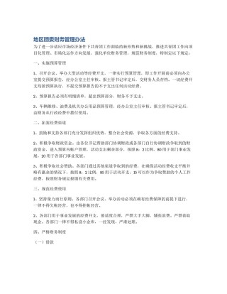 地区团委财务管理办法