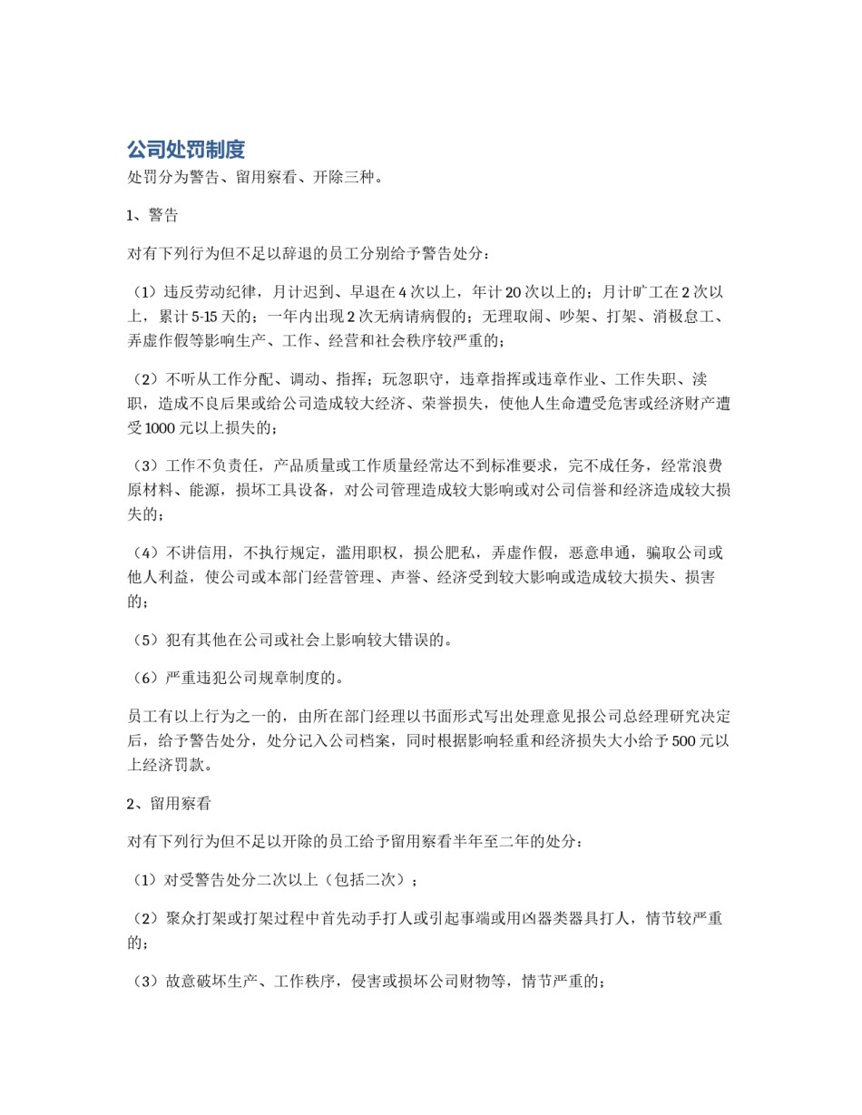 公司处罚制度_第1页