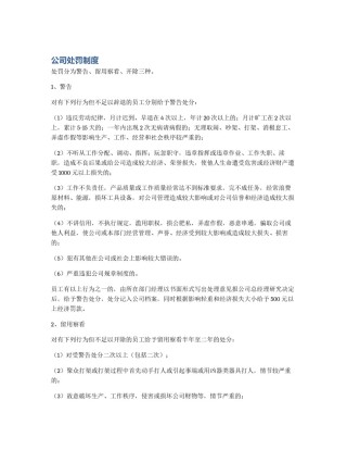 公司处罚制度