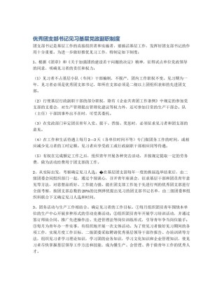 优秀团支部书记见习基层党政副职制度