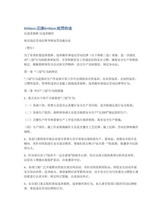 &ldquo;三违&rdquo;处罚办法