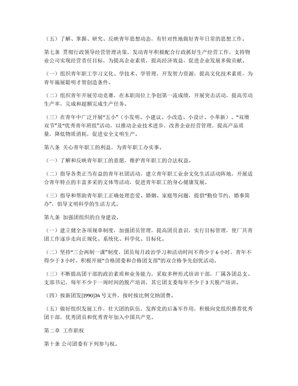 共青团组织条例实施细则_第2页