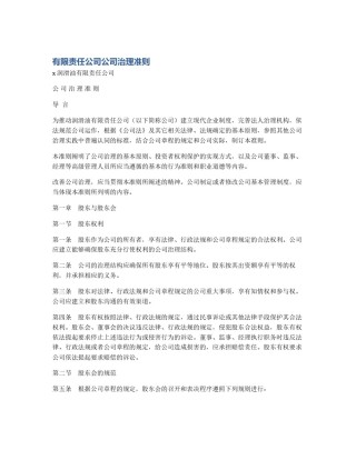 有限责任公司公司治理准则