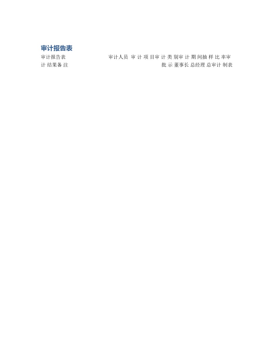 审计报告表_第1页