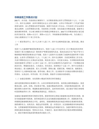 市粮食局工作要点计划