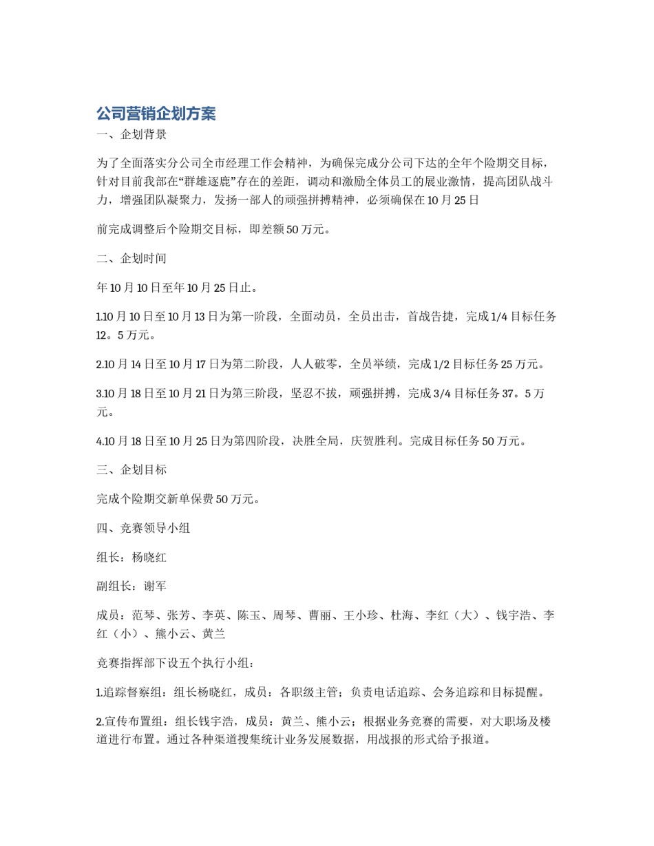 公司营销企划方案_第1页