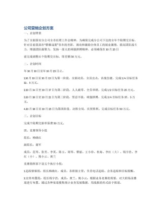 公司营销企划方案