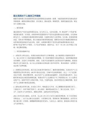 国土局局长个人整改工作措施