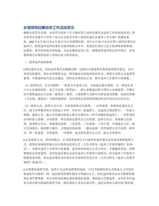 乡镇领导投票选举工作活动意见