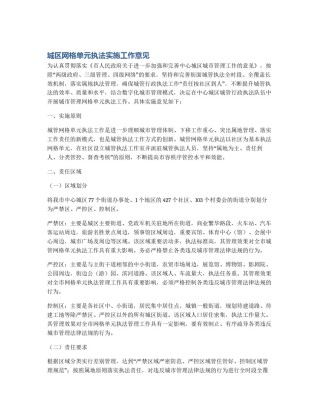 城区网格单元执法实施工作意见