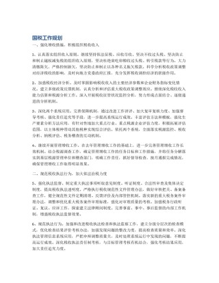 国税工作规划