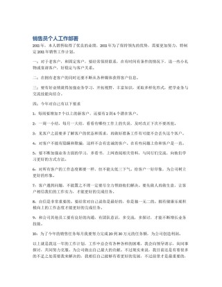 销售员个人工作部署