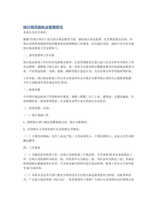 统计局完善执法管理意见