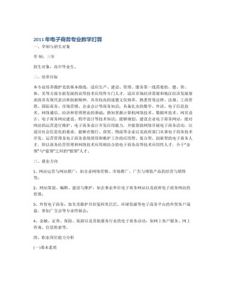 2011年电子商务专业教学打算