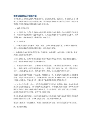 市本级政务公开实施方案
