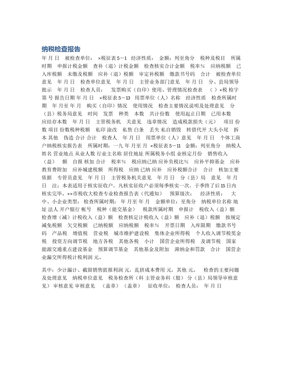 纳税检查报告_第1页