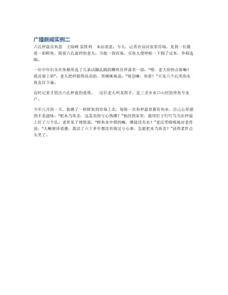 广播新闻实例二