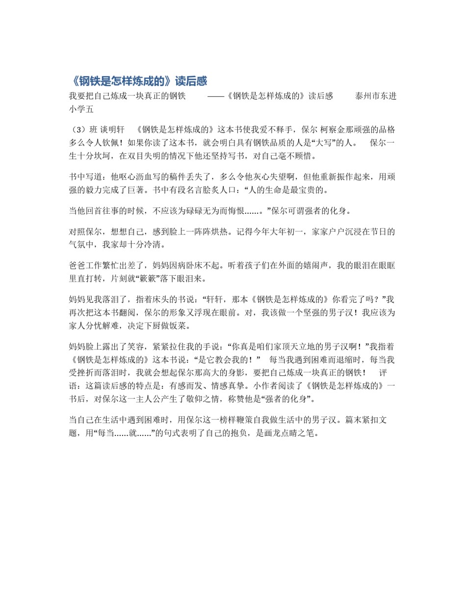 《钢铁是怎样炼成的》读后感_第1页