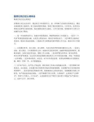 整肃行风行纪心得体会