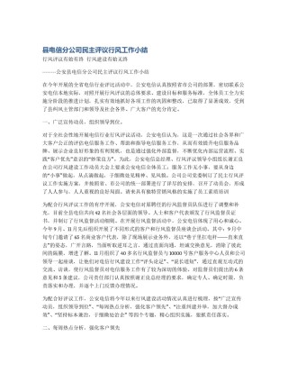 县电信分公司民主评议行风工作小结