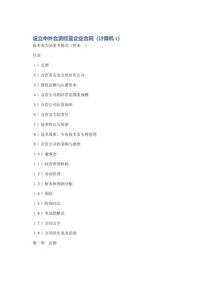 设立中外合资经营企业合同（计算机1）