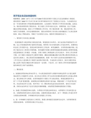 班子民主生活会自查材料