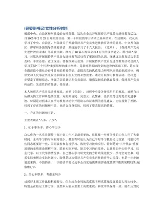 (县委副书记)党性分析材料