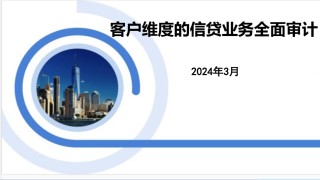 客户维度的信贷业务全面审计.pdf