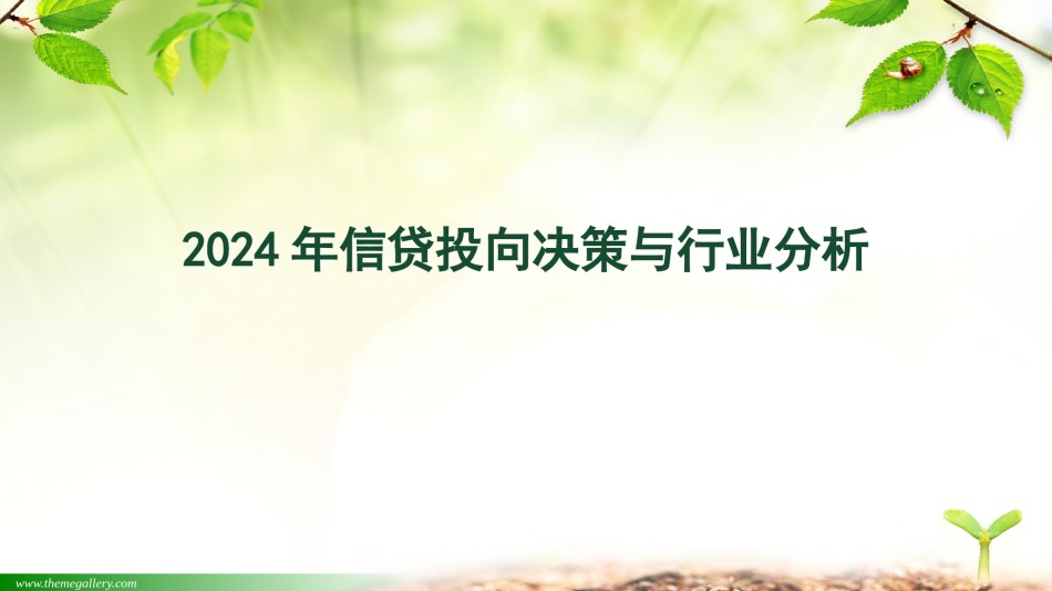 2024年信贷投向决策与行业分析(1).pptx_第1页
