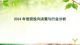2024年信贷投向决策与行业分析(1).pptx